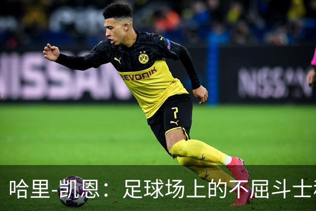 哈里-凯恩：足球场上的不屈斗士称霸马卡报最佳球员榜